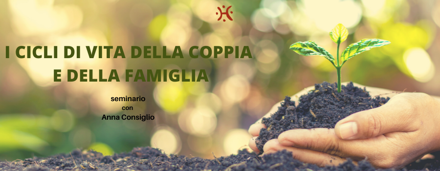 i cicli di vita della coppia e della famiglia